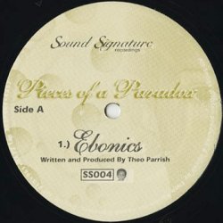 画像1: Theo Parrish / Pieces Of A Paradox (12inch)