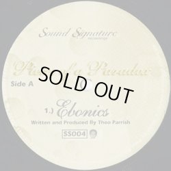 画像1: Theo Parrish / Pieces Of A Paradox (12inch)