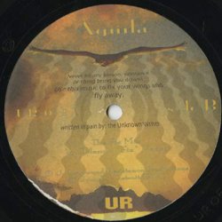 画像2: The Aztec Mystic / Aguila (12inch)