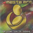 画像1: Masta Ace / MA_DOOM: Son Of Yvonne (1)