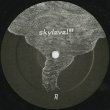 画像2: Skylevel ‎/ Skylevel 02 (2)