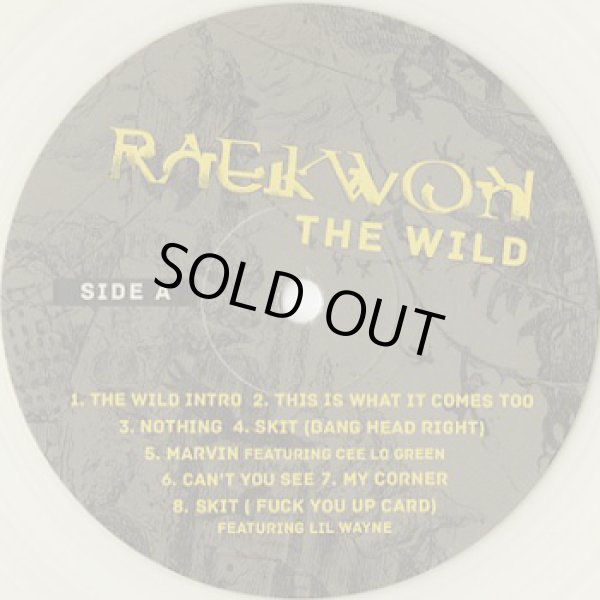 画像3: Raekwon ‎/ The Wild (3)