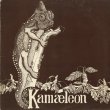 画像1: Kamæleon ‎/ S.T. (1)