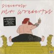 画像1: Action Bronson / Mr. Wonderful (1)