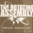 画像1: The Rotating Assembly ‎/ Natural Aspirations -The 12inch Series Pt.2- (1)