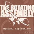 画像1: The Rotating Assembly ‎/ Natural Aspirations -The 12inch Series Pt.6- (1)