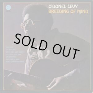 画像: O'Donel Levy ‎/ Breeding Of Mind