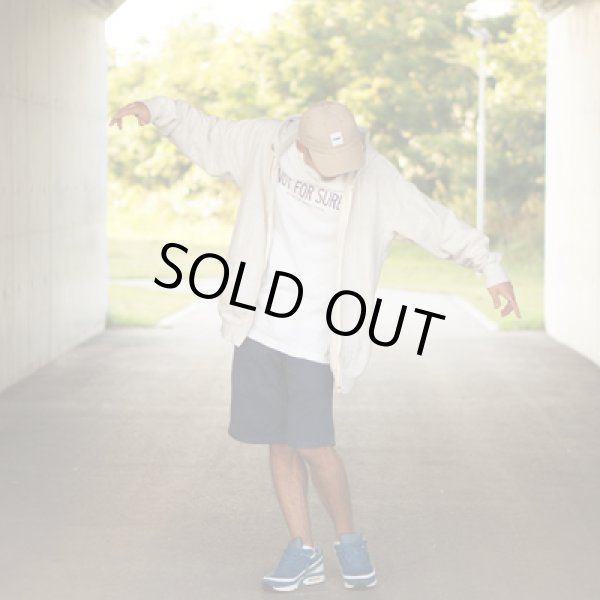 画像5: "MUSIC STORE" ZIP PARKA (ASH) (5)