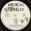 画像2: Various ‎/ Buck Wild (2)