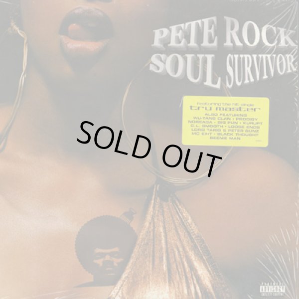 画像1: Pete Rock / Soul Survivor (1)