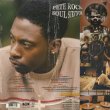 画像2: Pete Rock / Soul Survivor (2)