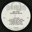 画像3: Big Pun / Endangered Species (2LP) (3)