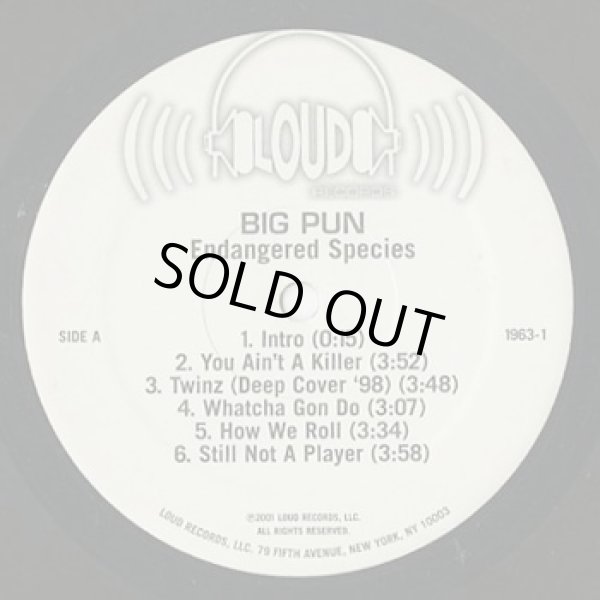 画像3: Big Pun / Endangered Species (2LP) (3)