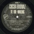 画像3: Cocoa Brovaz / The Rude Awakening (2LP) (3)