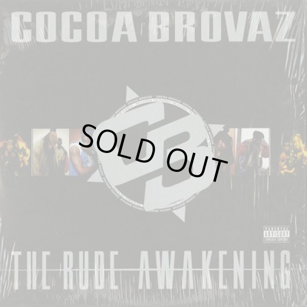 画像1: Cocoa Brovaz / The Rude Awakening (2LP) (1)