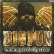 画像1: Big Pun / Endangered Species (2LP) (1)