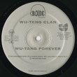 画像3: Wu-Tang Clan / Wu-Tang Forever (4LP) (3)