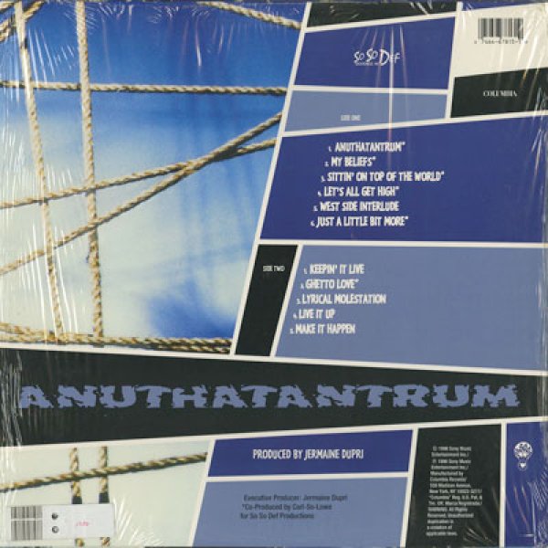 画像2: Da Brat /  Anuthatantrum (LP) (2)