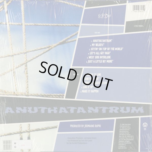 画像2: Da Brat /  Anuthatantrum (LP) (2)