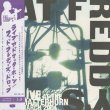 画像1: Fat Freddy's Drop / Live At The Matterhorn (1)