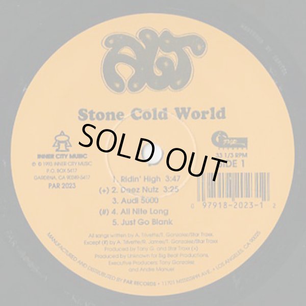 画像1: ALT / Stone Cold World (1)