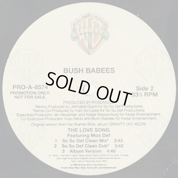 画像2: Bush Babees / The Love Song (So So Def Mix) (2)