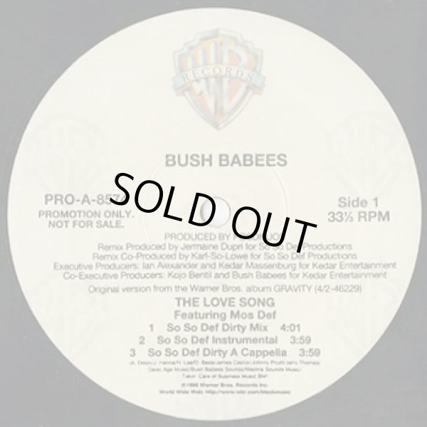 画像1: Bush Babees / The Love Song (So So Def Mix) (1)