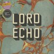 画像1: Lord Echo ‎/ Harmonies (2LP DJ Friendly Edition) (1)