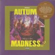 画像1: DJ KIYO / Autumn Madness 2 (Mix CD) (1)