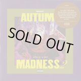 画像: DJ KIYO / Autumn Madness 2 (Mix CD)