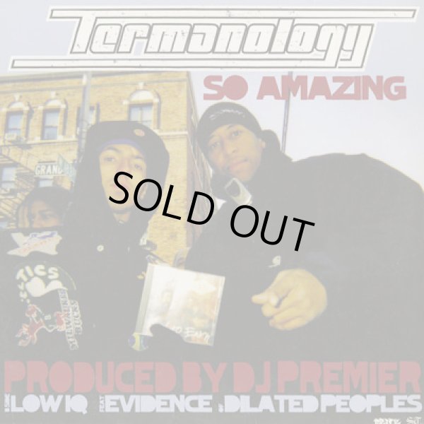 画像1: Termanology / So Amazing c/w Low IQ (1)