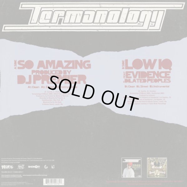 画像2: Termanology / So Amazing c/w Low IQ (2)