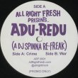 画像1: DJ Spinna / Adu-Redu (1)