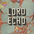 画像1: Lord Echo ‎/ Harmonies (2LP DJ Friendly Edition) (1)