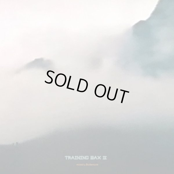 画像1: Budamunk / Training Wax vol. 2 (Mix CD) (1)