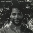 画像1: James Mason / I Want Your Love (1)