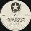 画像3: James Mason / I Want Your Love (3)