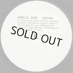 画像: Dwele / Rize