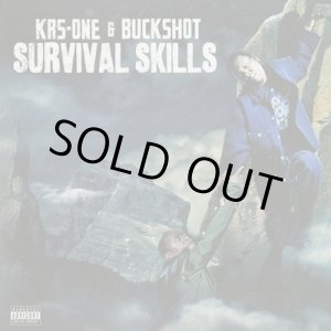 画像: KRS-One & Buckshot / Survival Skills