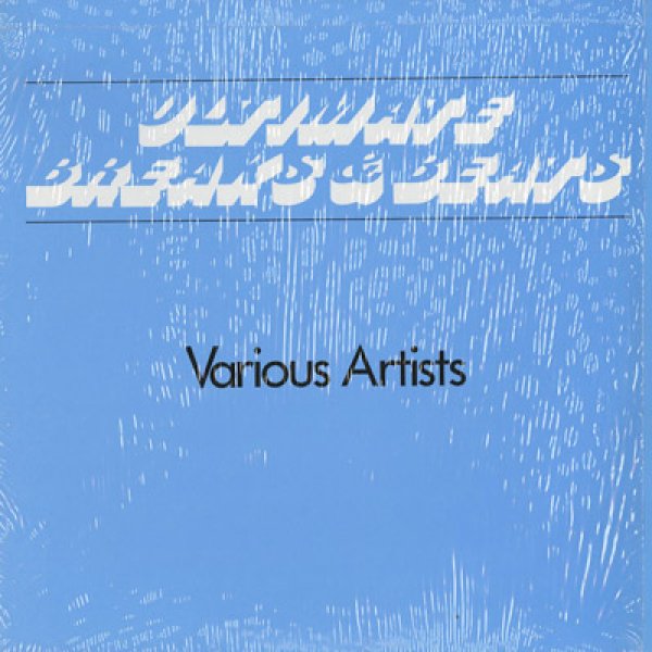 画像1: V.A. / Ultimate Breaks & Beats (SBR 506) (1)
