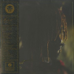 画像: Thundercat / It Is What It Is (Gatefold Jacket / Clear Vinyl)