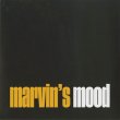 画像1: Stro Elliot / Marvin's Mood (1)