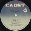 画像3: Dorothy Ashby / Afro-Harping (3)