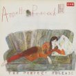 画像1: Annette Peacock / The Perfect Release (1)