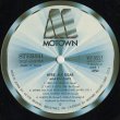 画像3: Marvin Gaye / Here, My Dear (3)