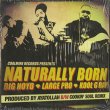 画像1: Big Noyd, Large Professor, Kool G Rap / Naturally Born (1)