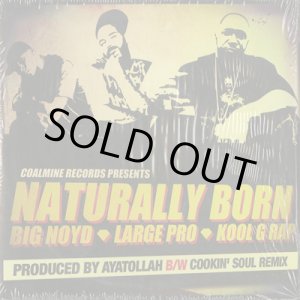 画像: Big Noyd, Large Professor, Kool G Rap / Naturally Born