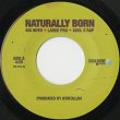 画像3: Big Noyd, Large Professor, Kool G Rap / Naturally Born (3)