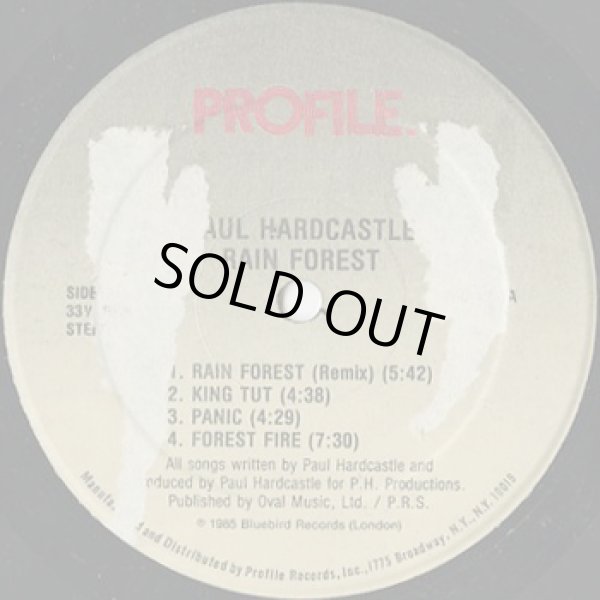 画像3: Paul Hardcastle / Rain Forest (3)