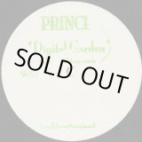 画像: Prince / Digital Garden (Adam Goldstone Remix)